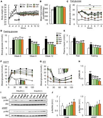 Compound dietary fiber and high-grade protein diet improves glycemic control and ameliorates diabetes and its comorbidities through remodeling the gut microbiota in mice